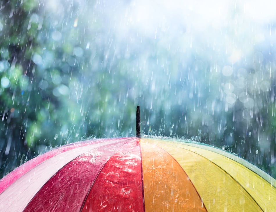 From Wet Bias to Market Bias: Navigating Unreliable Predictions