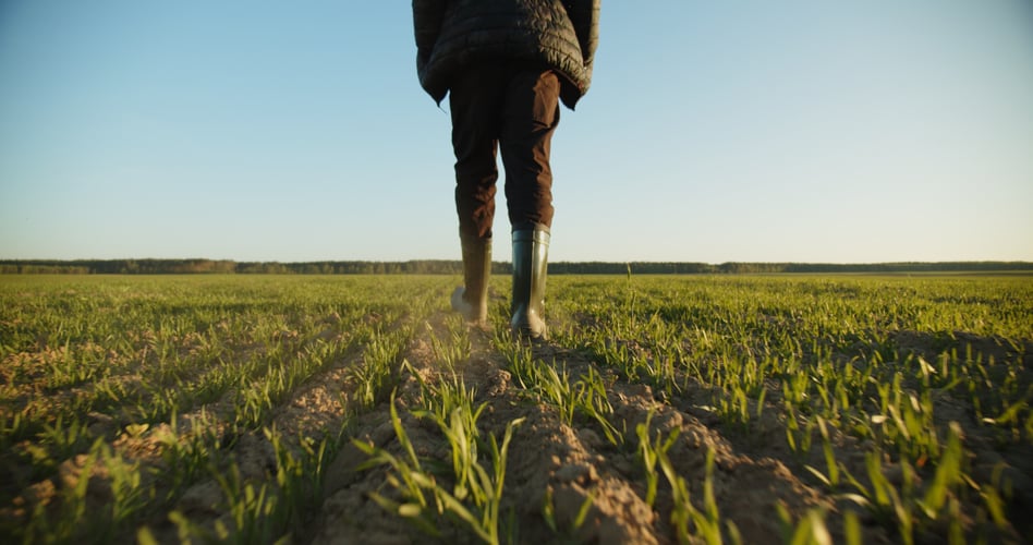 The Importance of Planning and Prioritizing Your Goals