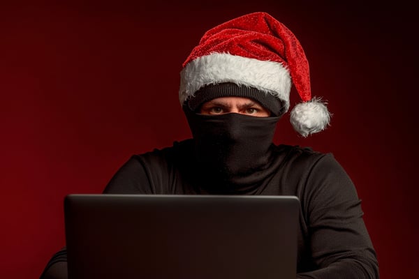 thief in a holiday hat on a computer